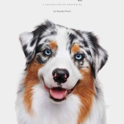 Good Dog: A Collection of Portraits