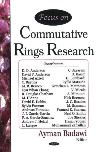 Focus on Commutative Rings Research