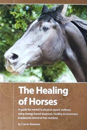 The Healing of Horses