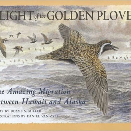 Flight of the Golden Plover: The Amazing