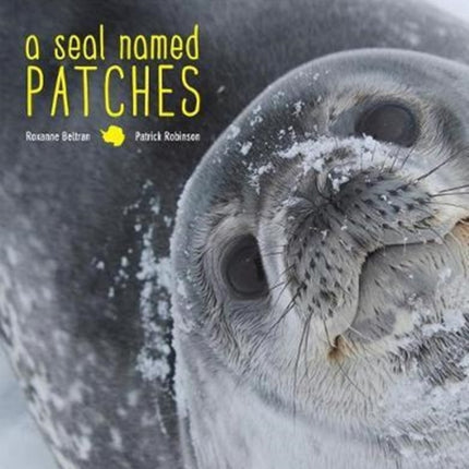 A Seal Named Patches