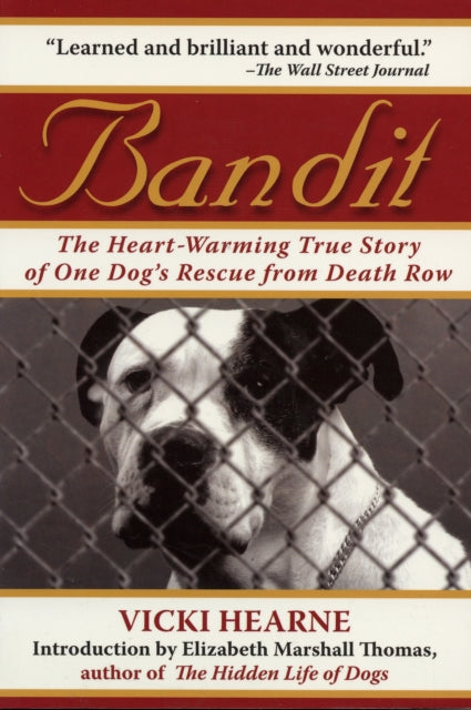 Bandit: The Heart-Warming True Story of One Dog's Rescue from Death Row