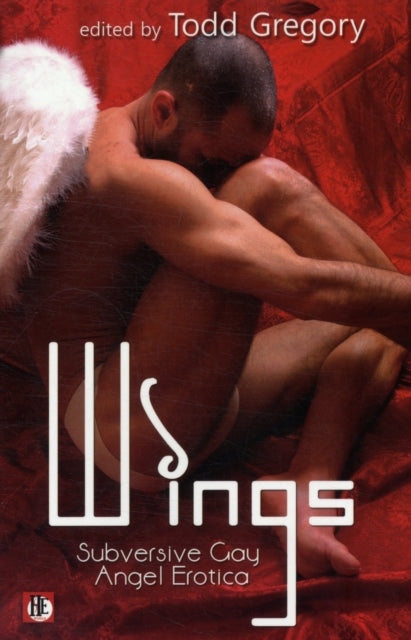 Wings: Subversive Gay Angel Erotica