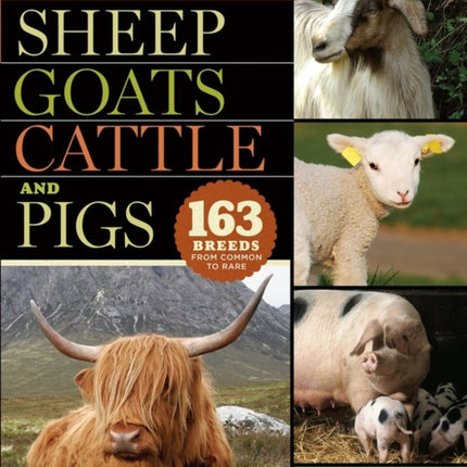 Storey's Illustrated Breed Guide to Sheep, Goats, Cattle and Pigs: 163 Breeds from Common to Rare