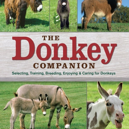 Donkey Companion