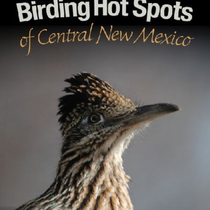 Birding Hot Spots of Central New Mexico