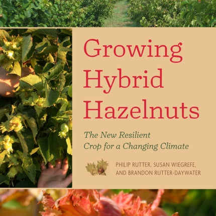 Growing Hybrid Hazelnuts: The New Resilient Crop