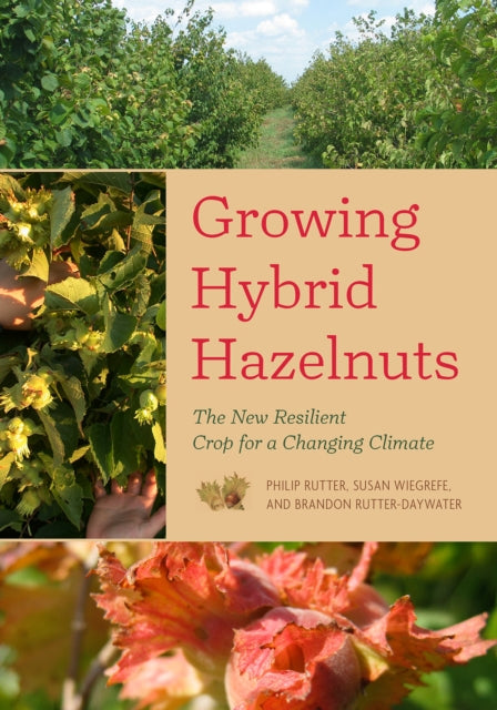 Growing Hybrid Hazelnuts: The New Resilient Crop