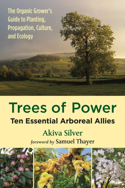 Trees of Power: Ten Essential Arboreal Allies