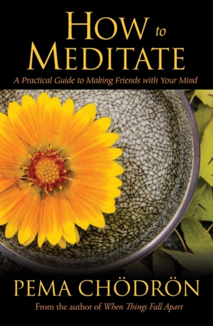 How to Meditate: A Practical Guide to Making Friends with Your Mind