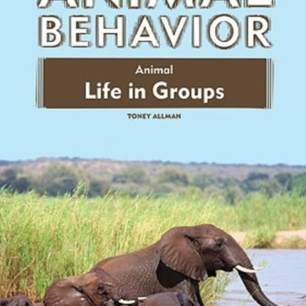 Animal Life in Groups