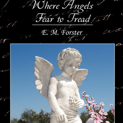 Where Angels Fear to Tread