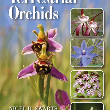 Conservation Methods for Terrestrial Orchids