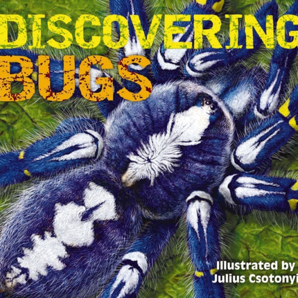 Discovering Bugs: Meet the Coolest Creepy Crawlies on the Planet