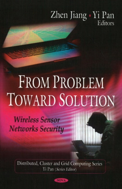 From Problem to Solution: Wireless Sensor Networks Security