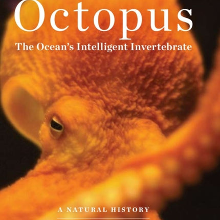 Octopus: The Ocean's Intelligent Invertebrate