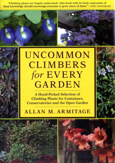 Uncommon Climbers for Every Garden: A Hand-picked Selection of Climbing Plants for Containers, Conservatories and the Open Garden