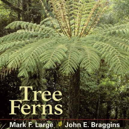 Tree Ferns