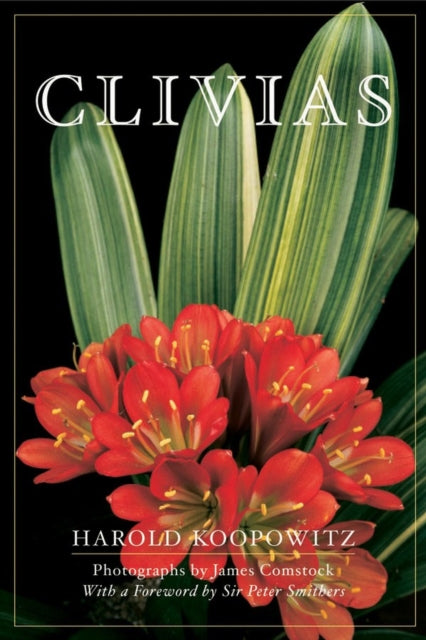 Clivias