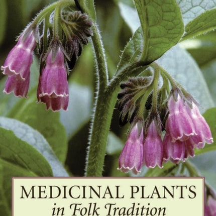 Medicinal Plants in Folk Tradition: An Ethnobotany of Britain & Ireland