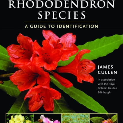 Hardy Rhododendron Species: A Guide to Identification