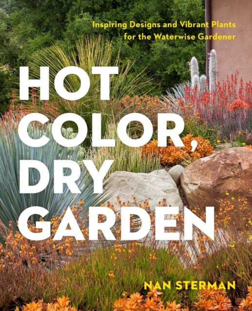 Hot Color, Dry Garden: Inspiring Designs and