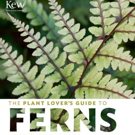 The Plant Lover's Guide to Ferns