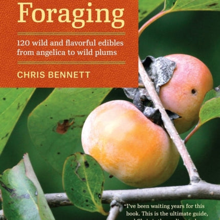 Southeast Foraging: 120 Wild and Flavorful Edibles from Angelica to Wild Plums