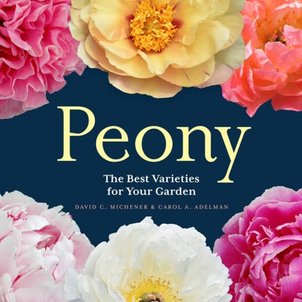 Peony: The Best Varieties for Your Garden