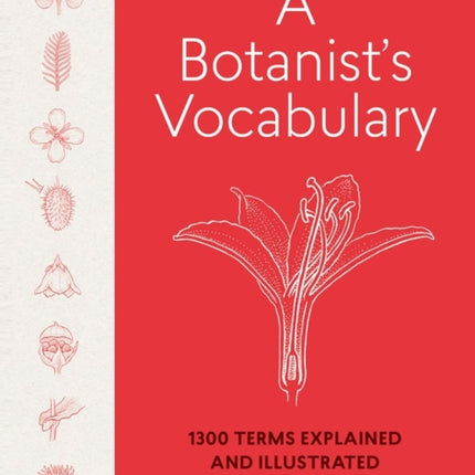 A Botanist's Vocabulary: 1300 Terms Explained and Illustrated