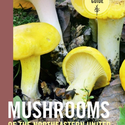 Mushrooms of the Northeastern United States and Eastern Canada