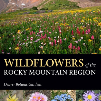 Wildflowers of the Rocky Mountain Region