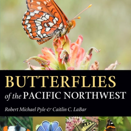 Butterflies of the Pacific Northwest