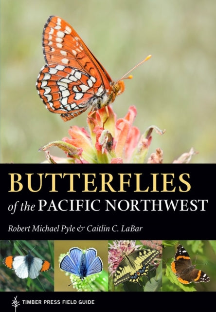 Butterflies of the Pacific Northwest