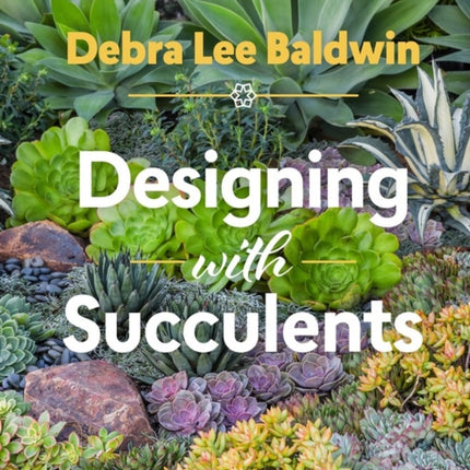 Designing with Succulents