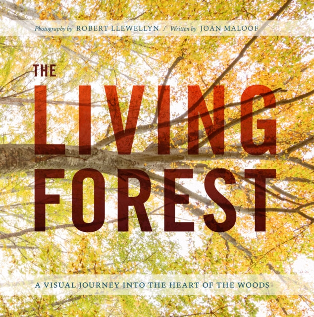 Living Forest The A Journey Into Natures Most