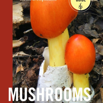 Mushrooms of the Southeast