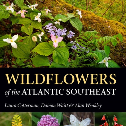 Wildflowers of the Atlantic Southeast