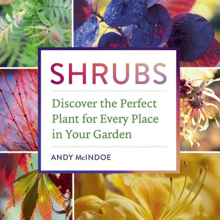 Shrubs: Discover the Perfect Plant for Every