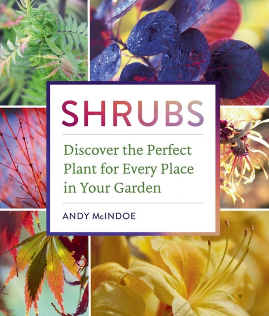 Shrubs: Discover the Perfect Plant for Every