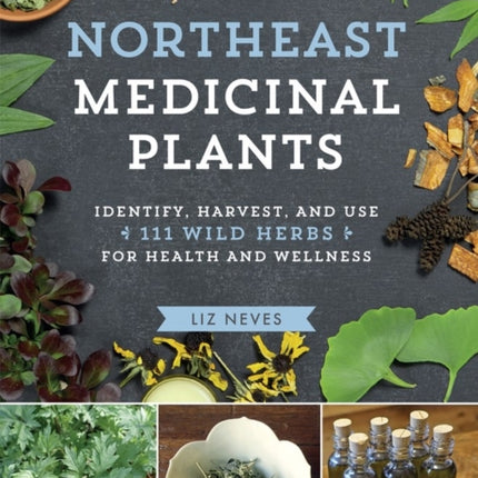 Northeast Medicinal Plants: Identify, Harvest,