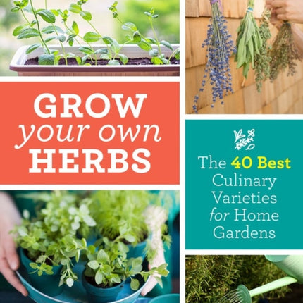 Grow Your Own Herbs: The 40 Best Culinary Varieties for Home Gardens