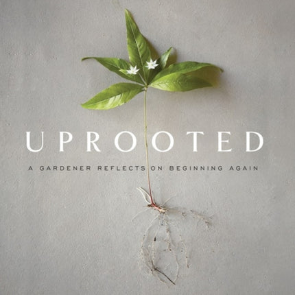 Uprooted: A Gardener Reflects on Beginning Again