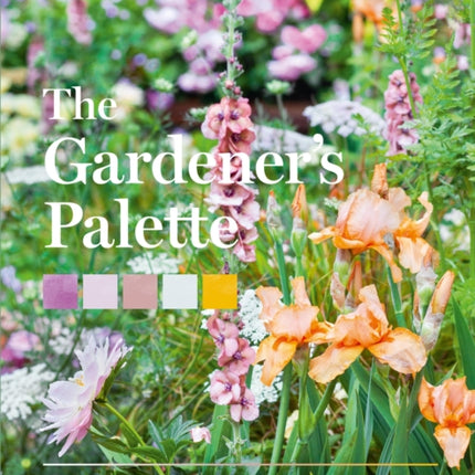 The Gardener’s Palette: Creating Colour Harmony in the Garden