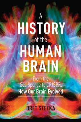 A History of the Human Brain: From the Sea Sponge