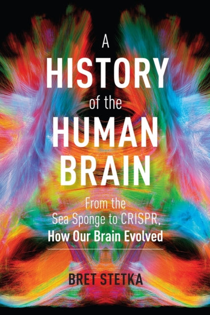A History of the Human Brain: From the Sea Sponge
