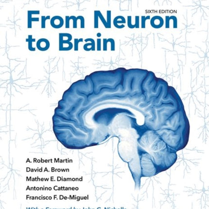 From Neuron to Brain