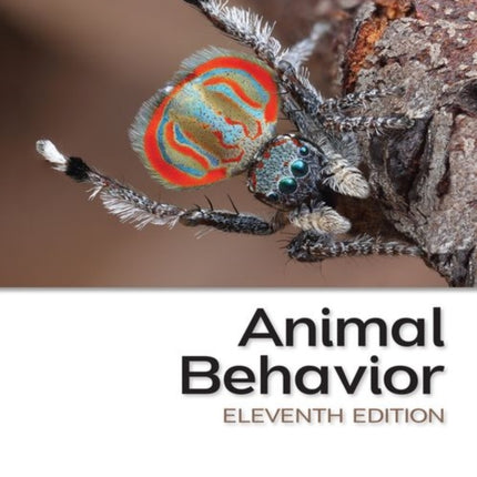 Animal Behavior