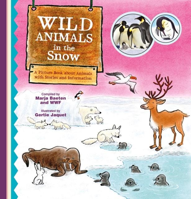 Wild Animals in the Snow. A Picture Book about Animals with Stories and Information