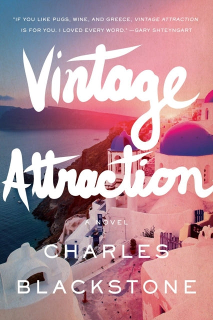 Vintage Attraction A Novel